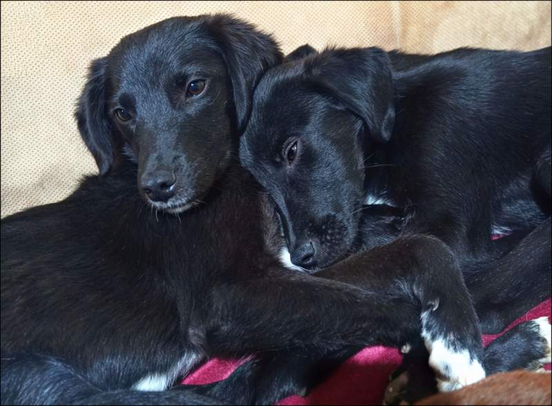 Sanja and Sonja